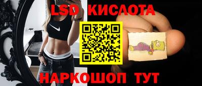 амф Гай