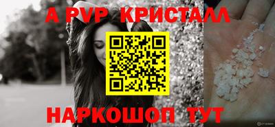 амф Гай