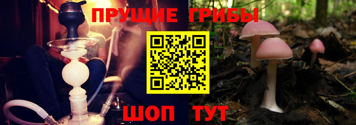 купить   Псилоцибиновые грибы мухоморы  Галлюциногенные грибы мицелий  Вход с VPN  Лянтор 